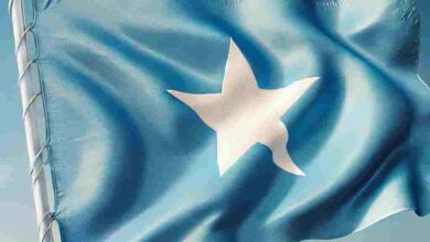 Somalia Flag