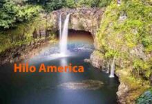 Hilo America