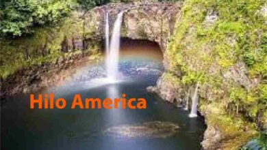 Hilo America