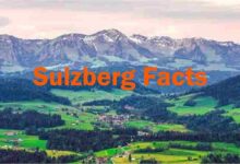 sulzberg facts