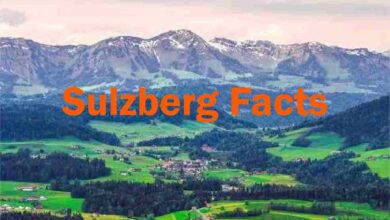 sulzberg facts