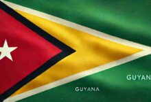 Guyana Flag