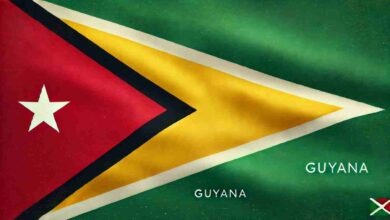 Guyana Flag