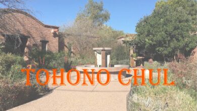 Tohono Chul