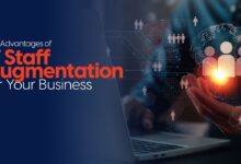 IT Staff Augmentation