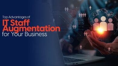 IT Staff Augmentation