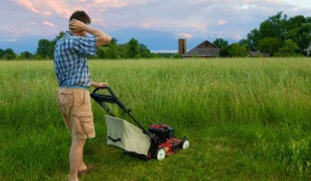Lawn Care Mistakes