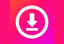instagram story downloader