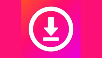 instagram story downloader